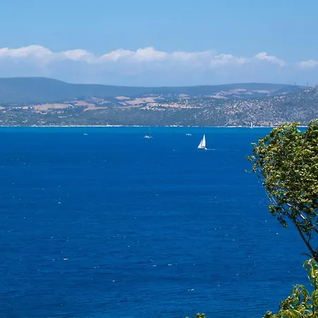 Sea Sunny *
